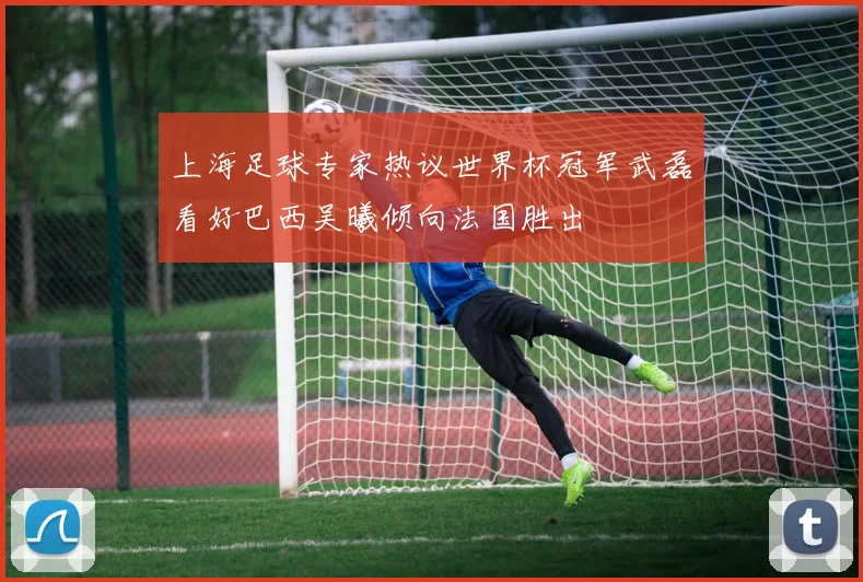 上海足球专家热议世界杯冠军武磊看好巴西吴曦倾向法国胜出